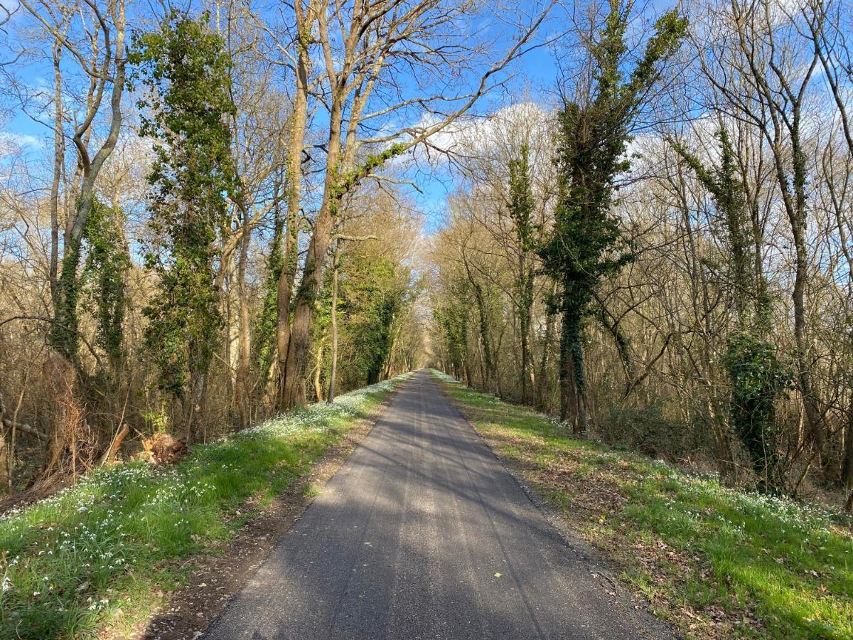 Studio Indre Climatise, La Halte De Cuze, Aux Abords De La Loire A Velo Huismes Экстерьер фото