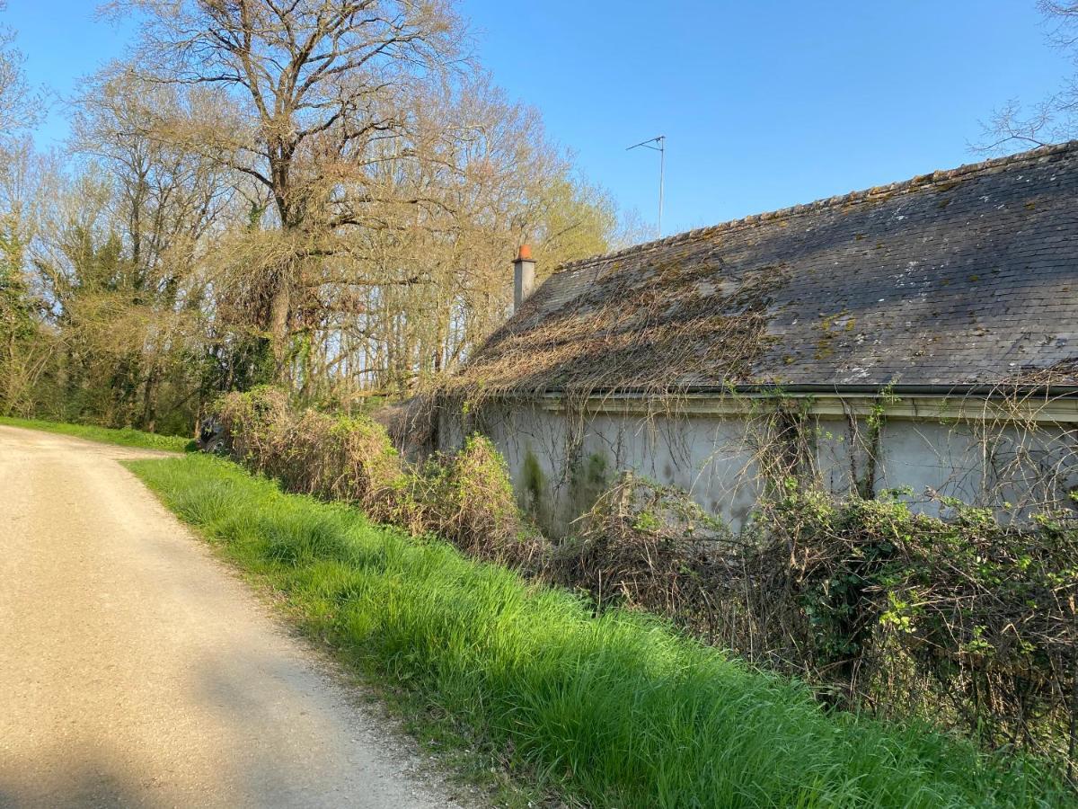 Studio Indre Climatise, La Halte De Cuze, Aux Abords De La Loire A Velo Huismes Экстерьер фото